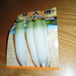 春野菜