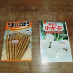 牛蒡と小かぶ種まき