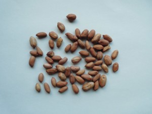 CIMG2369