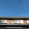 渋柿を干しました。