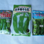 そら豆