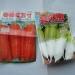 根菜類種蒔