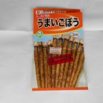 ごぼうをまきました
