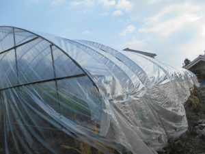 DSCN2801