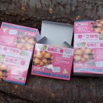なめこコマ打ち