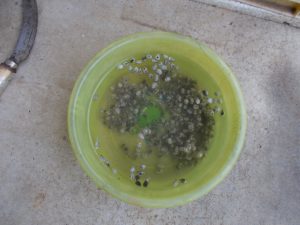 DSCN3564