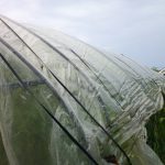台風接近中